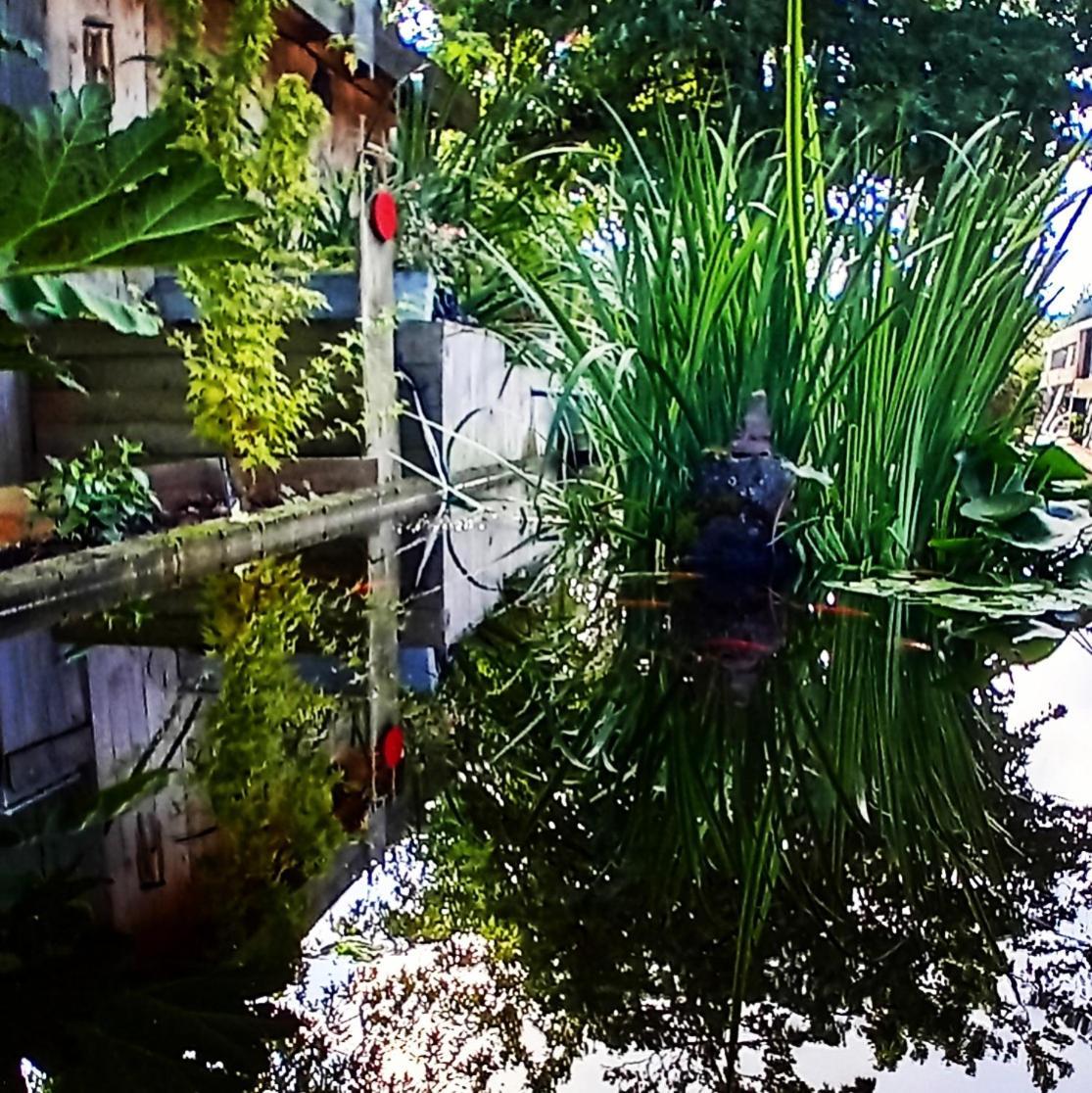 Saint-Germain-du-Corbeis Les Nuits Victoriennes Bed & Breakfast エクステリア 写真